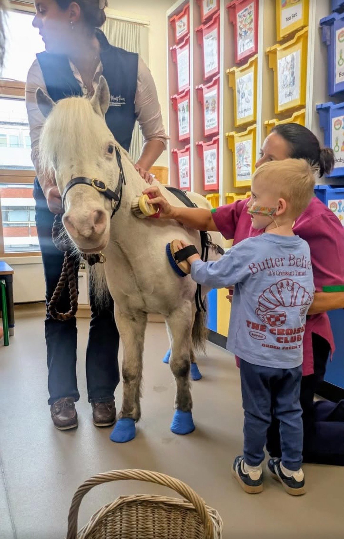 Pony Visits for Poorly Children: Help Us Cover the Costs campaign photo, 5 of 7