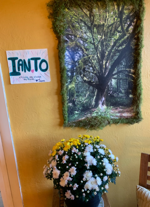 Ianto Evans End of Life Love and Support for Linda campaign photo, 5 of 7
