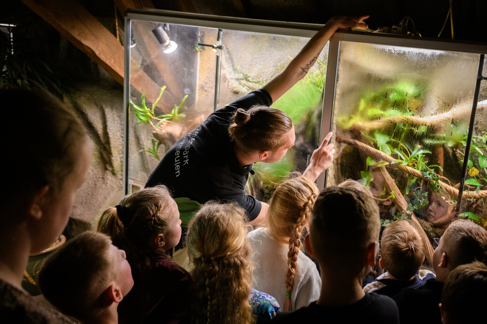 Help Dierenpark De Oliemeulen aan een nieuwe toekomst campaign photo, 9 of 11