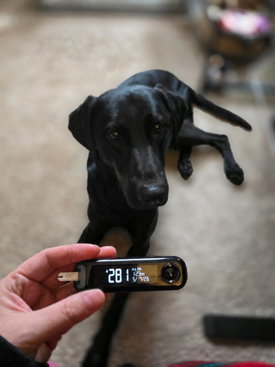 Help me get an Insulin Pump! campaign photo, 4 of 8