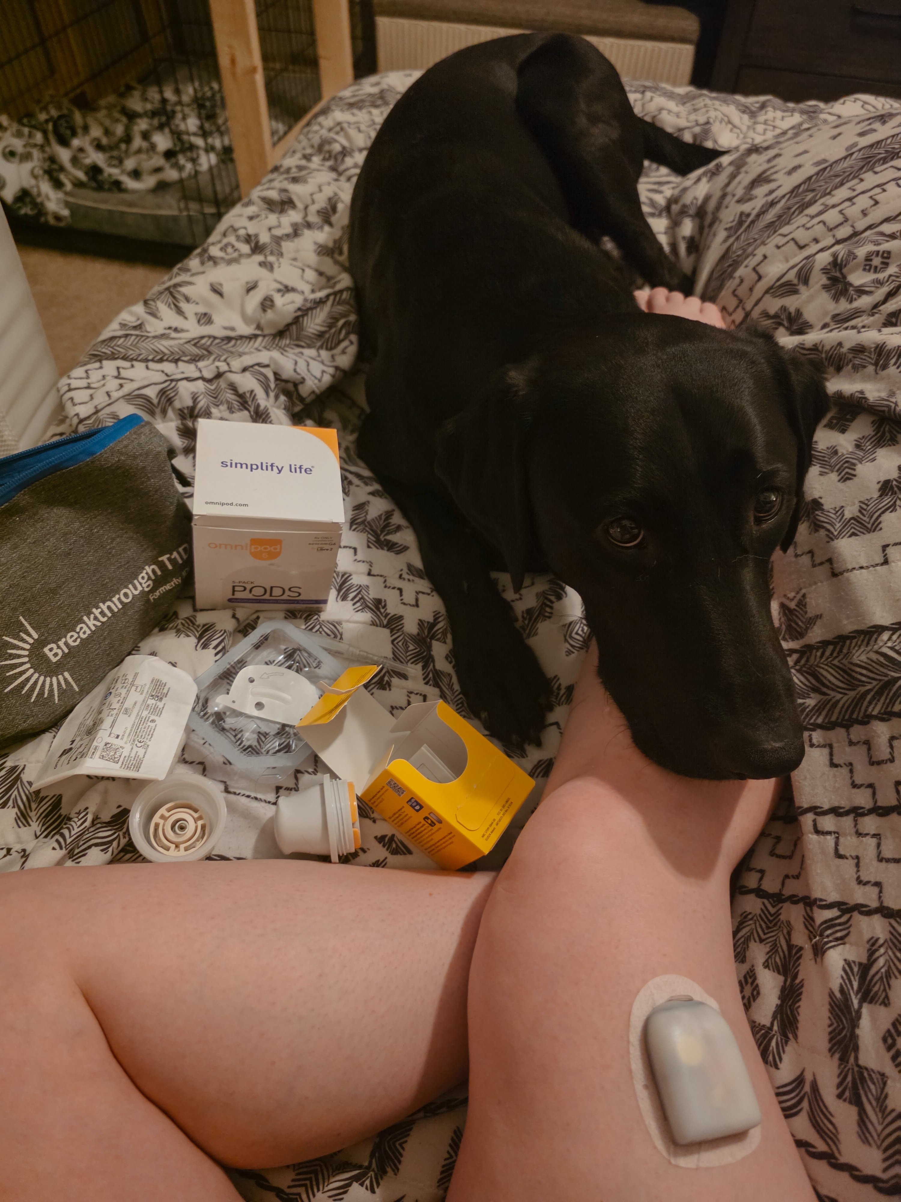Help me get an Insulin Pump! campaign photo, 6 of 8
