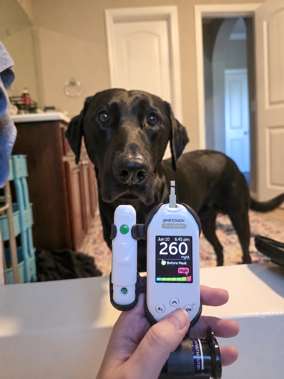 Help me get an Insulin Pump! campaign photo, 7 of 8
