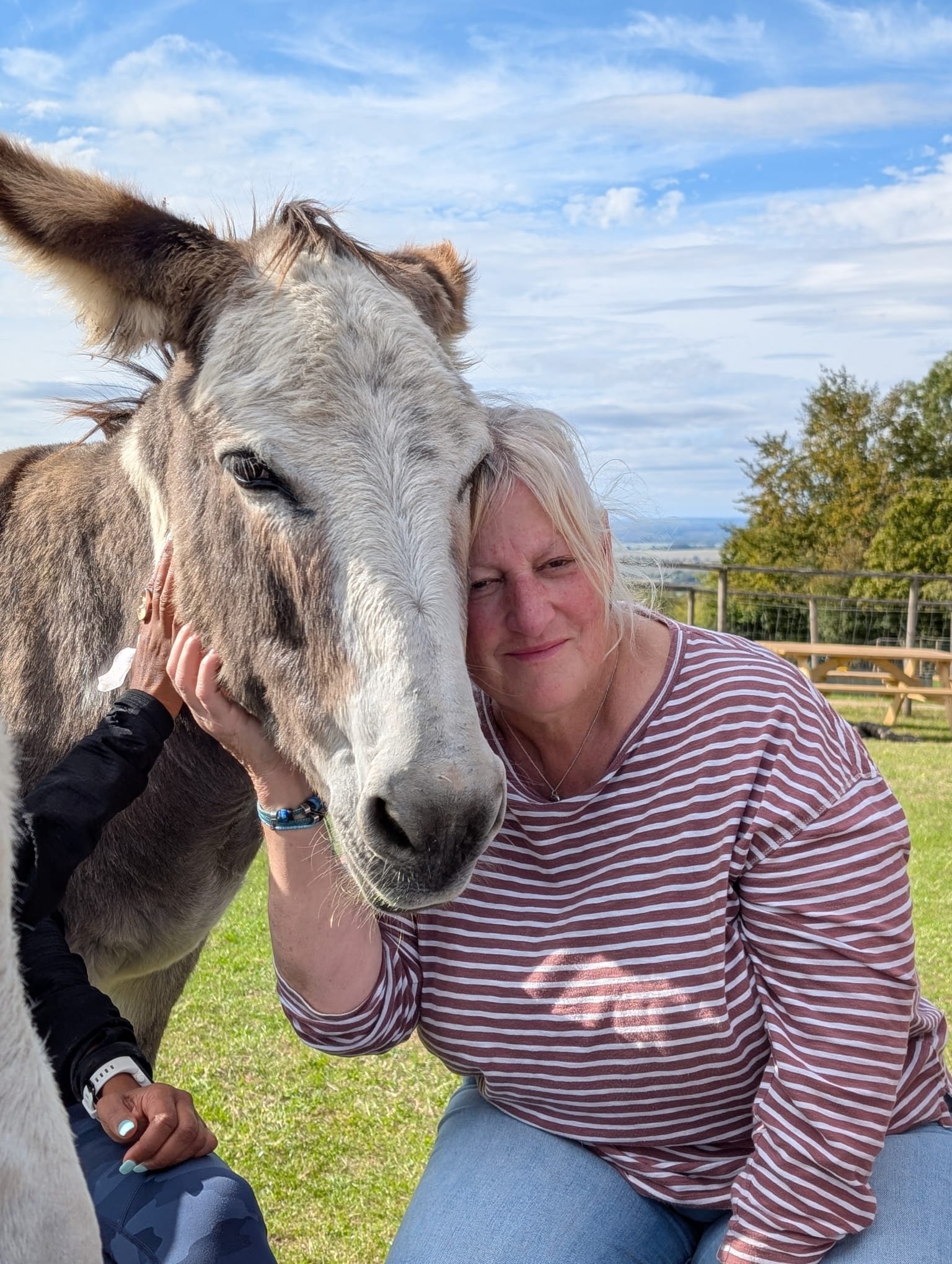 Help save NEIGH campaign photo, 4 of 8