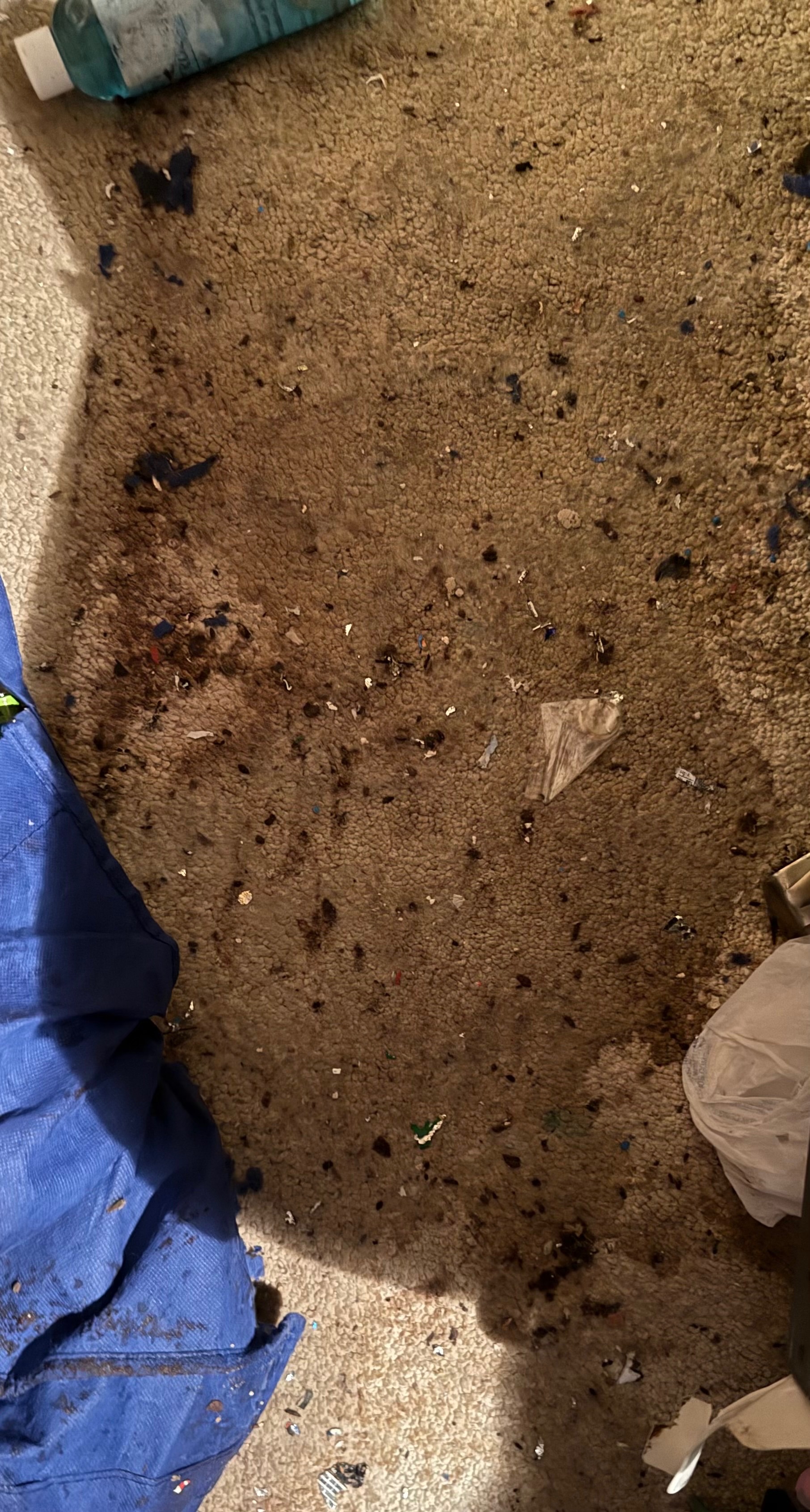 Fixing the Water Damage in Mom’s Room campaign photo, 2 of 4