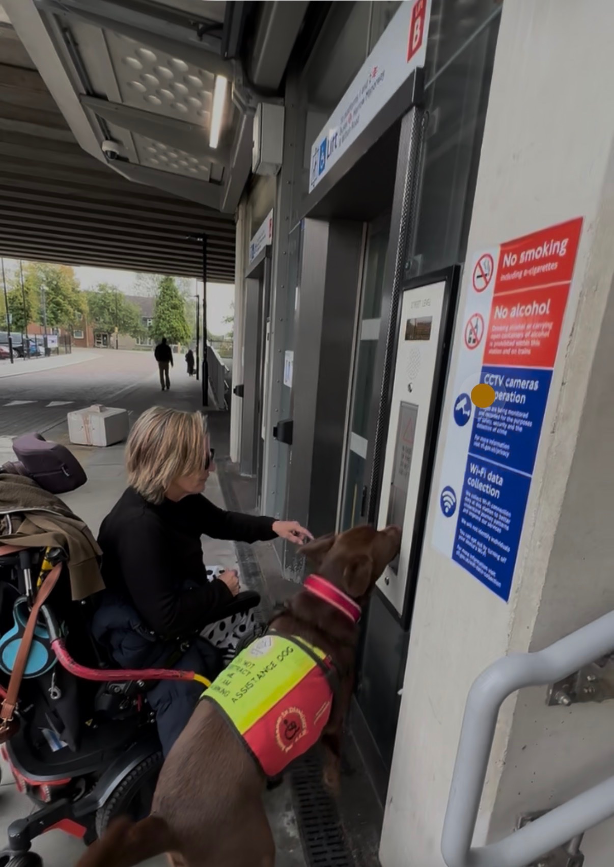 Help Koda the Assistance Dog Get Back on His Paws campaign photo, 7 of 8