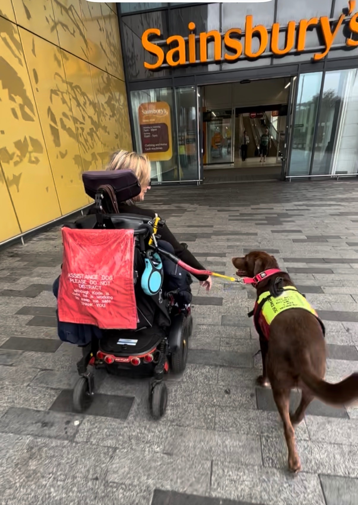Help Koda the Assistance Dog Get Back on His Paws campaign photo, 2 of 8