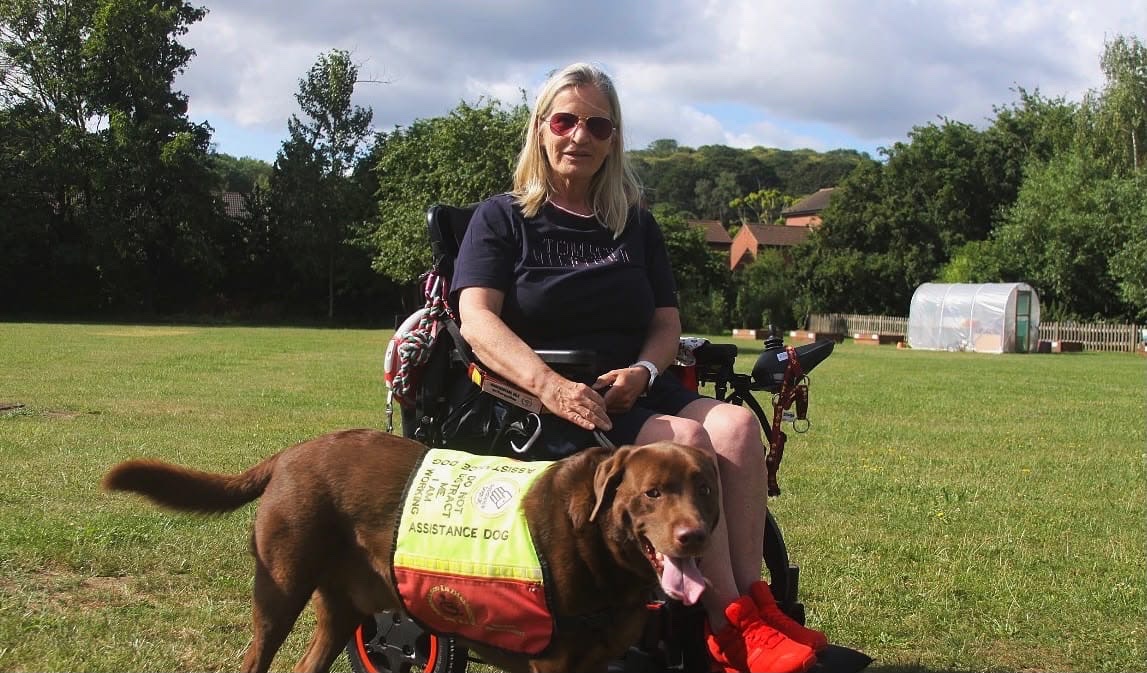 Help Koda the Assistance Dog Get Back on His Paws campaign photo, 4 of 8