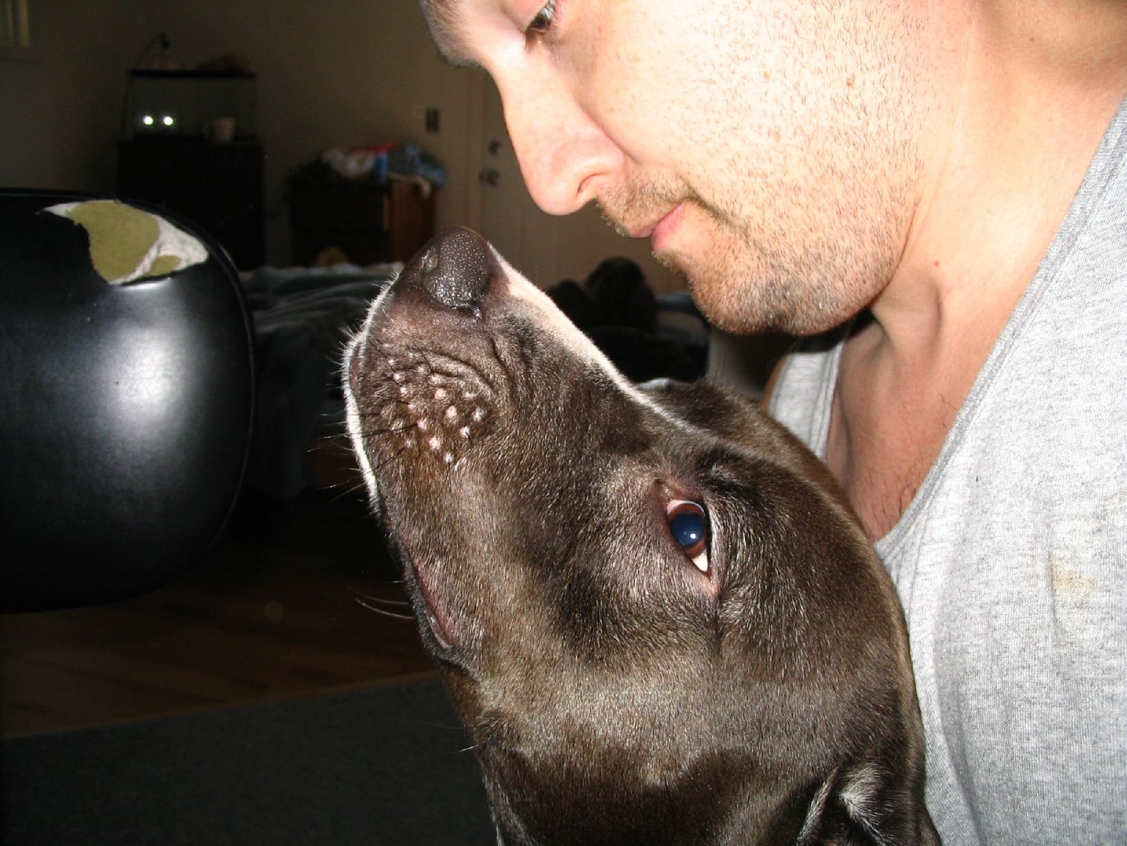 Help my brother rebuild his life campaign photo, 5 of 8