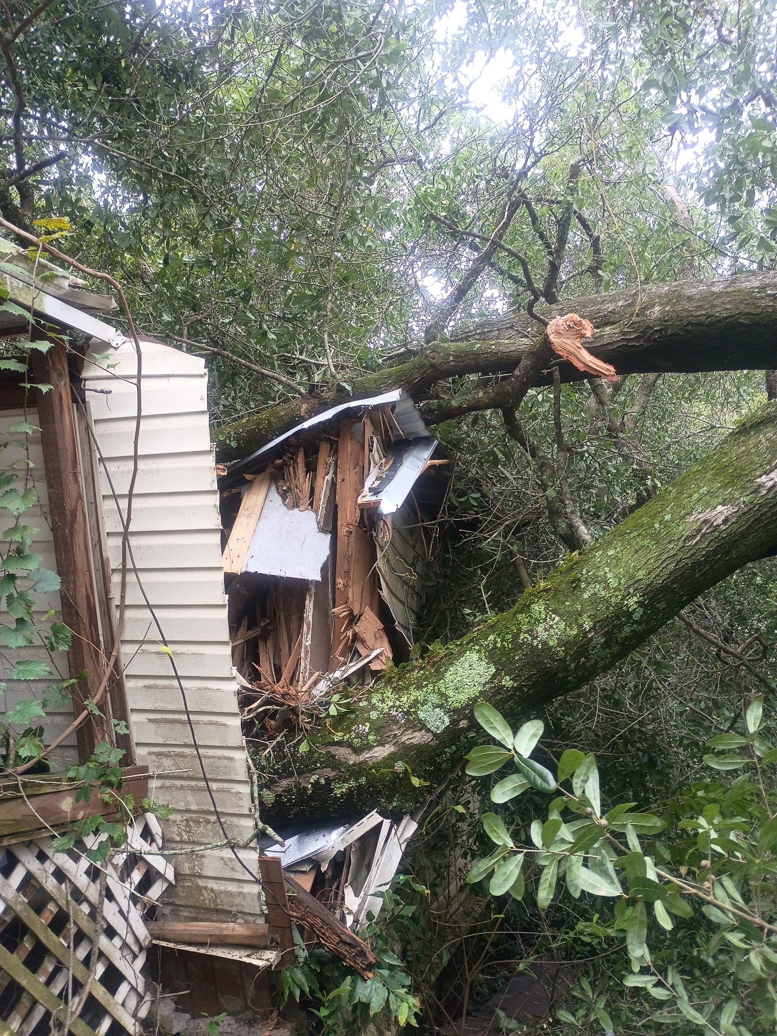 Rebuilding Mom’s Home After the Hurricane campaign photo, 6 of 8