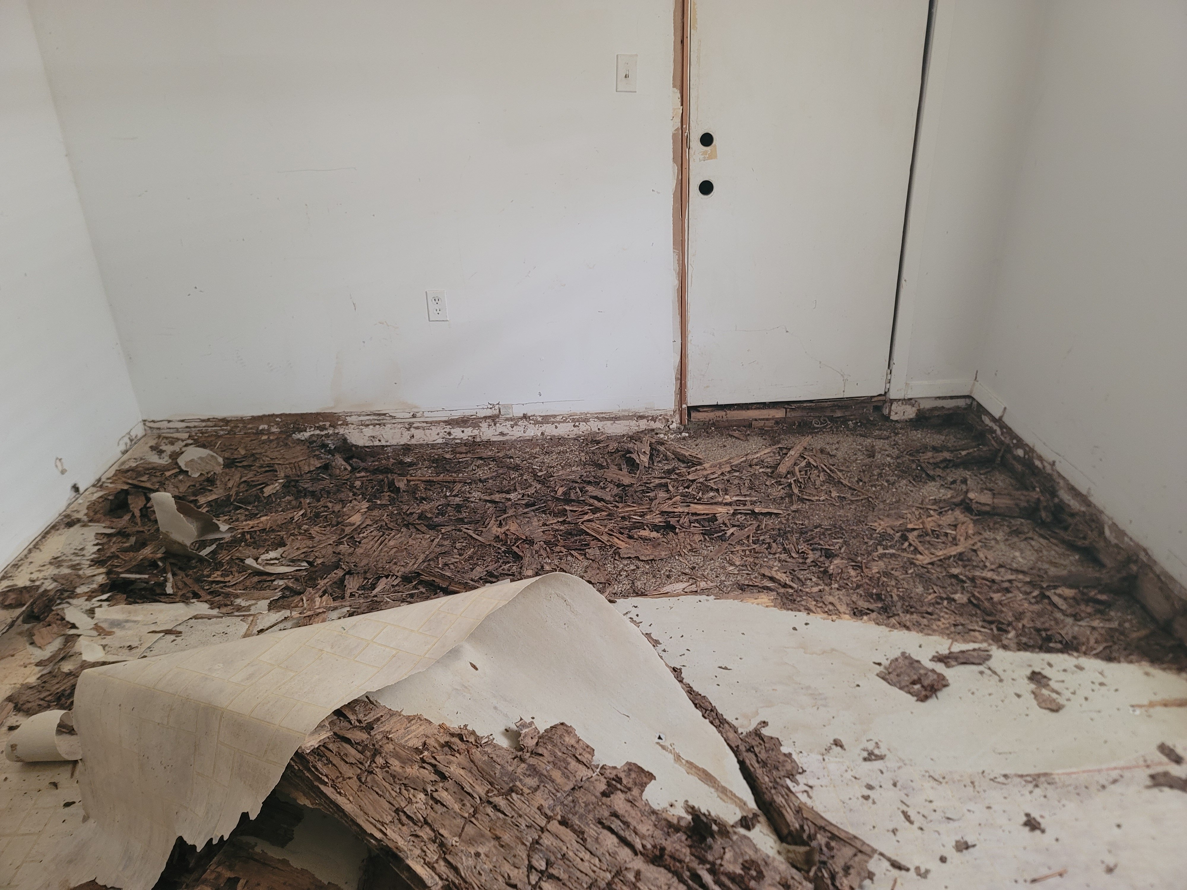 Urgent Help Needed for Safe Home by October 21st campaign photo, 5 of 7