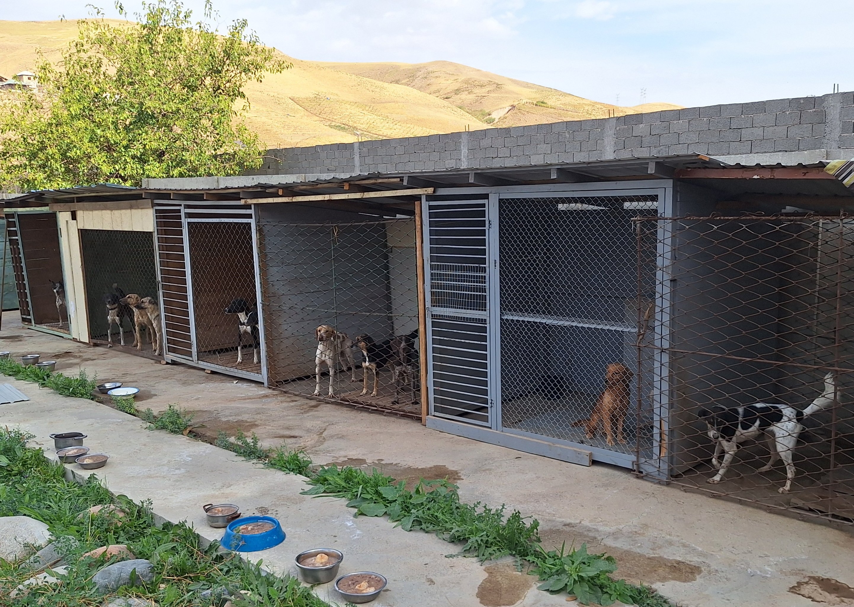 Safe Helga Fundraiser by Helga DEVRIES : Help Island of Hope Provide Safe Shelter ...