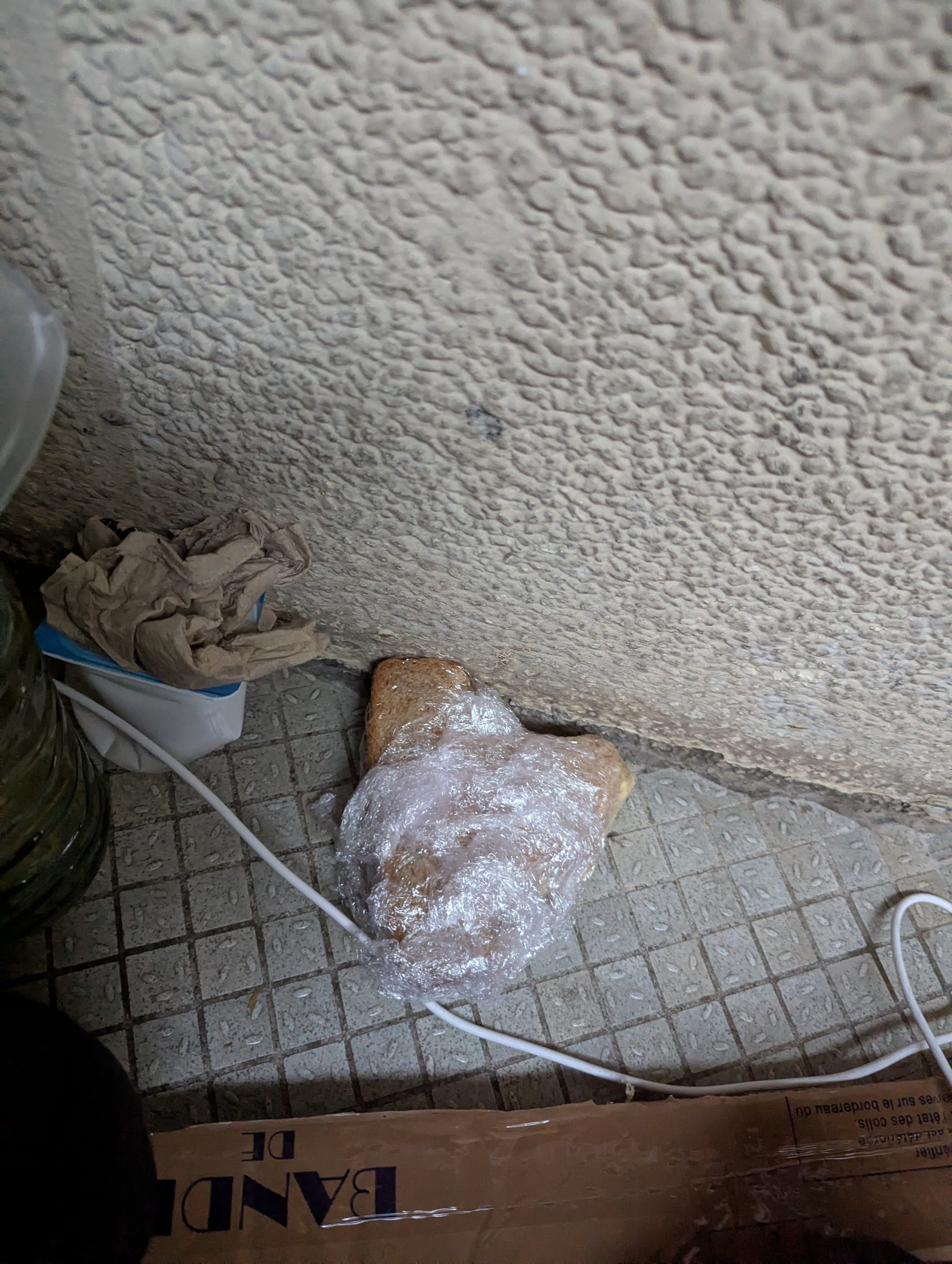 I'm homeless and summoning your generosity campaign photo, 2 of 7