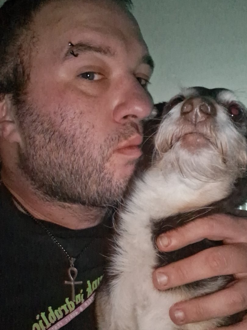 Help My Little Dog Overcome Dental Issues campaign photo, 2 of 7