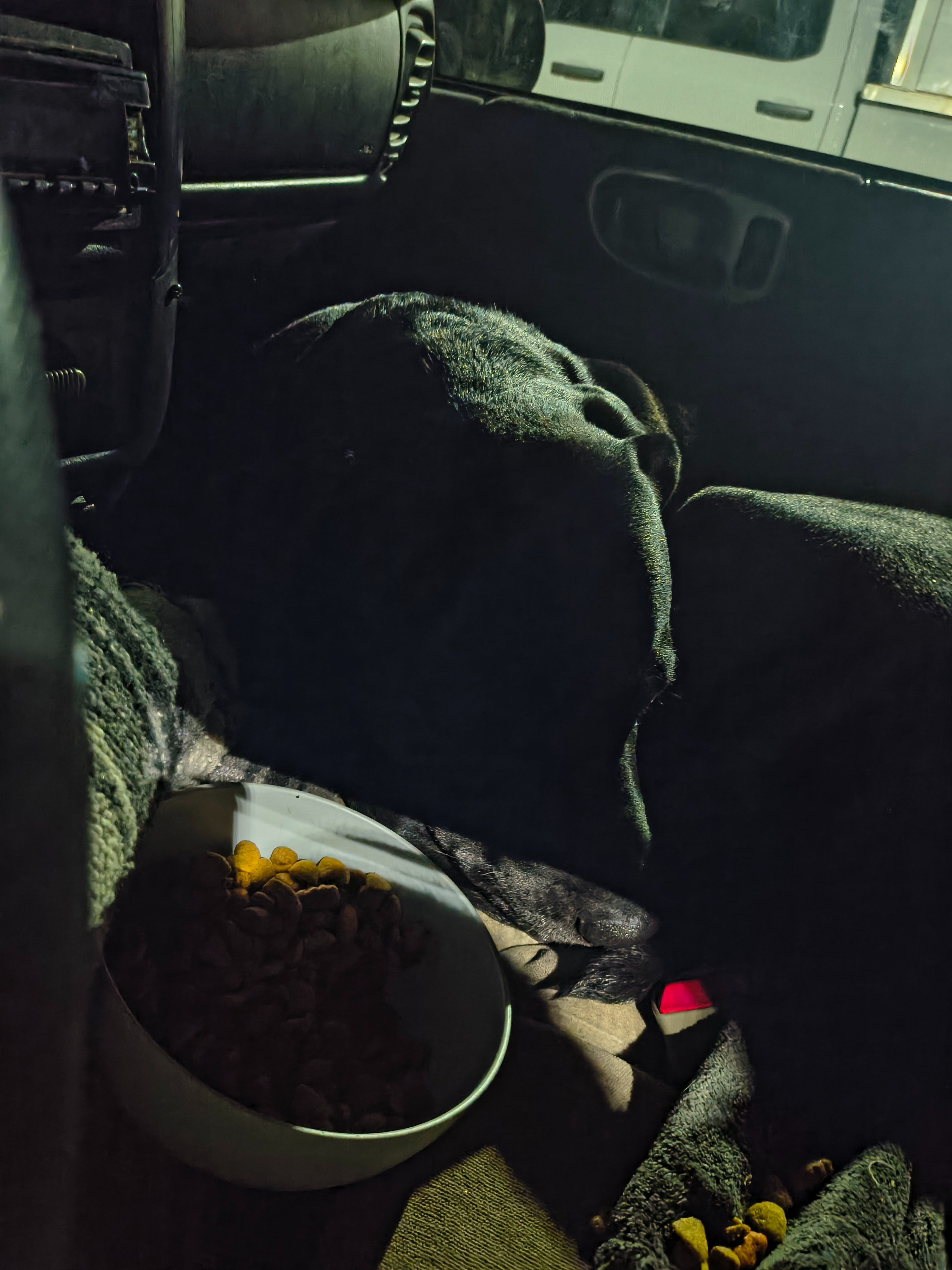 A Camper for Me and My Dog campaign photo, 5 of 10