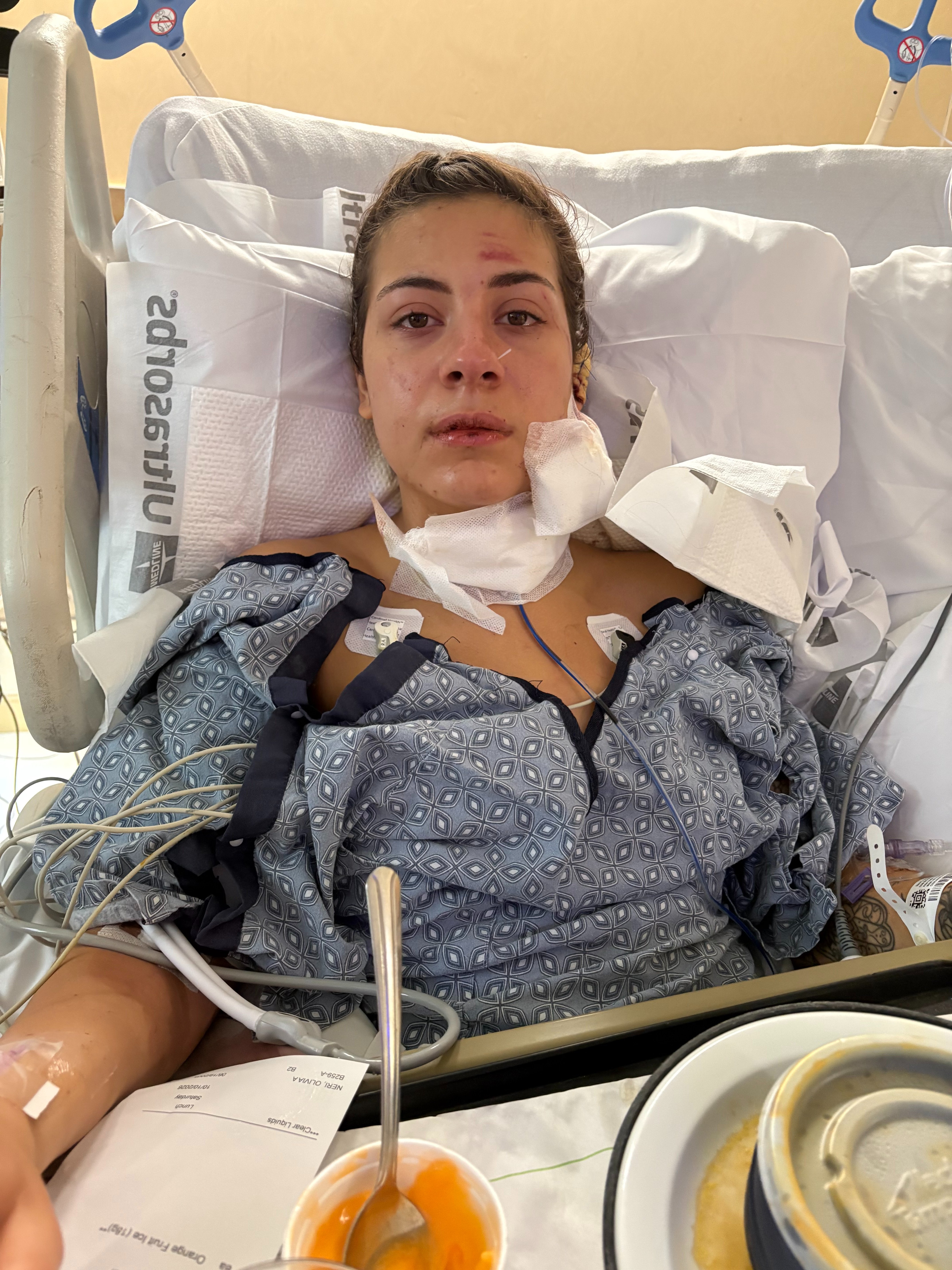 Support Olivia Neri’s Healing campaign photo, 4 of 7