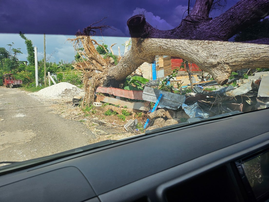 Jamaica Community Work with Dr. Jolivette Oct-Nov 2026 campaign photo, 4 of 7