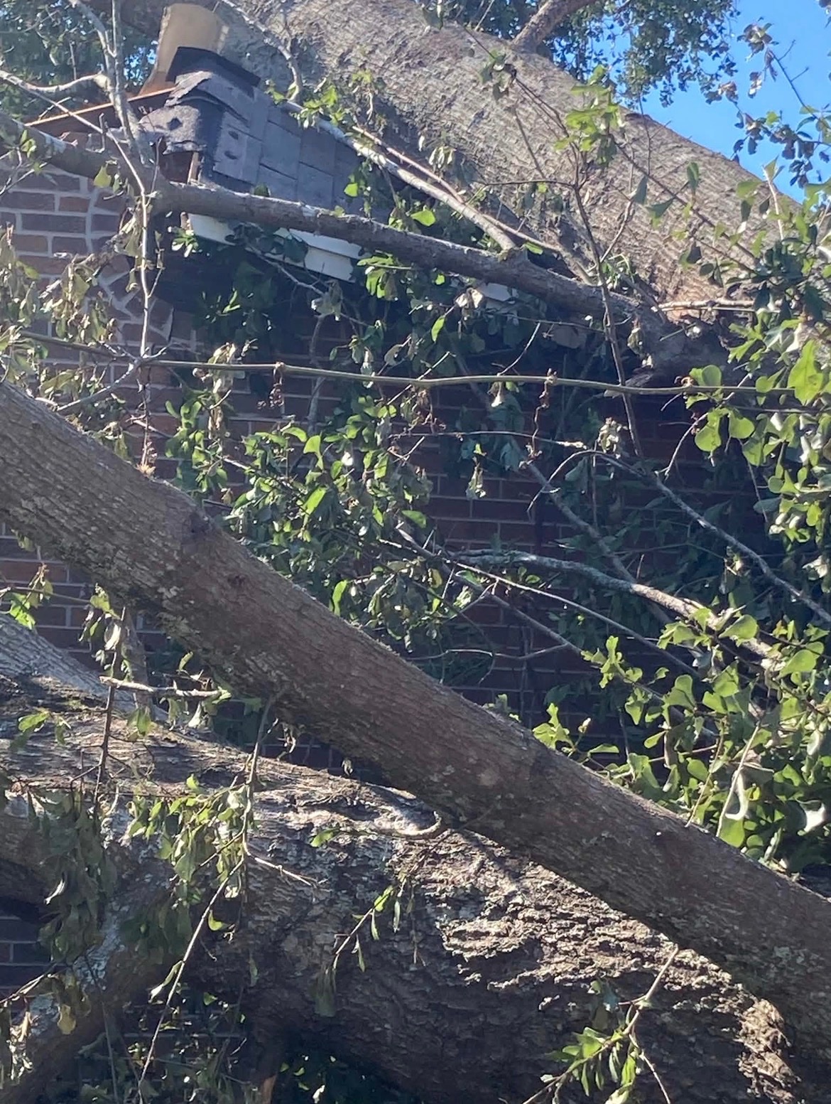 Helping the Strickland Family After Hurricane Isaias campaign photo, 7 of 8