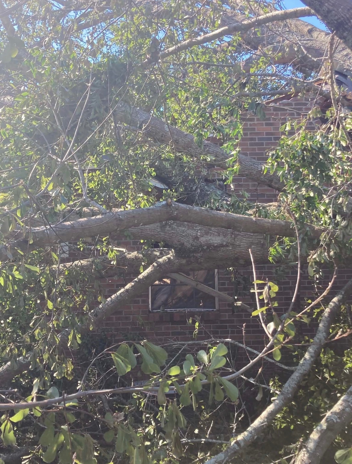 Helping the Strickland Family After Hurricane Isaias campaign photo, 2 of 8