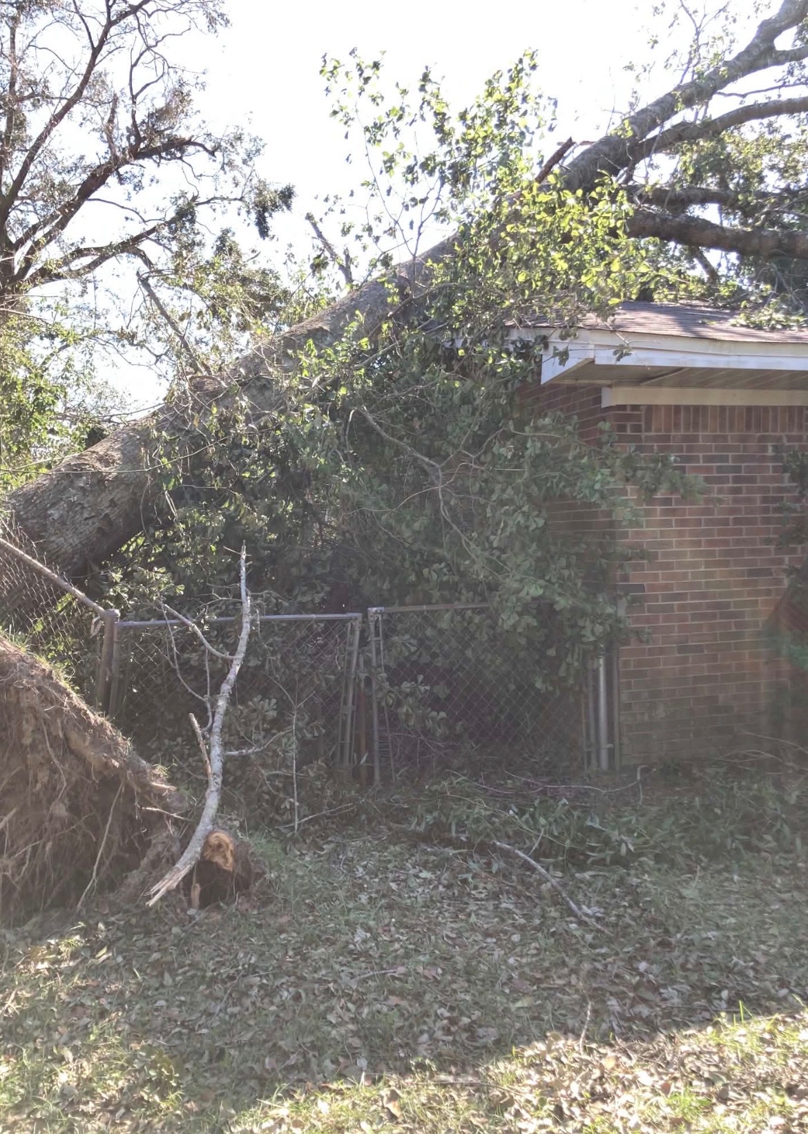 Helping the Strickland Family After Hurricane Isaias campaign photo, 6 of 8