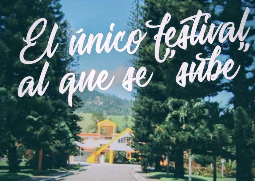 Foto de la campaña ¡Ayúdanos a mantener viva la poesía en la cima de la loma!, 2 de 4