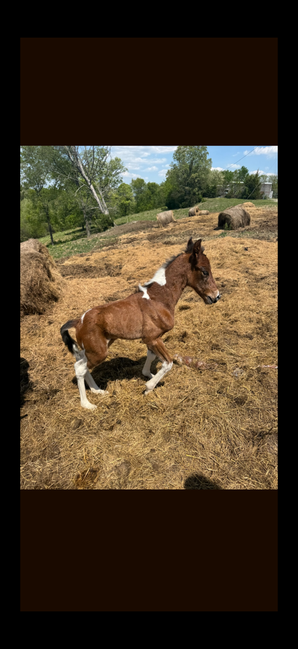 Jimmy Hutchison’s Barn Fire Recovery campaign photo, 5 of 6