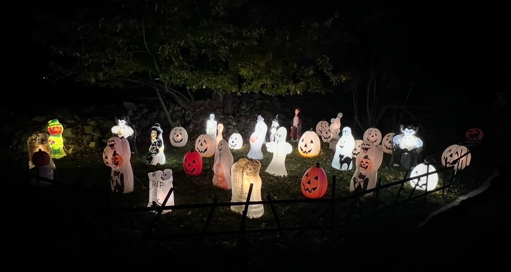 Trick or Treat for Hopatcong Animal Shelter campaign photo, 4 of 5