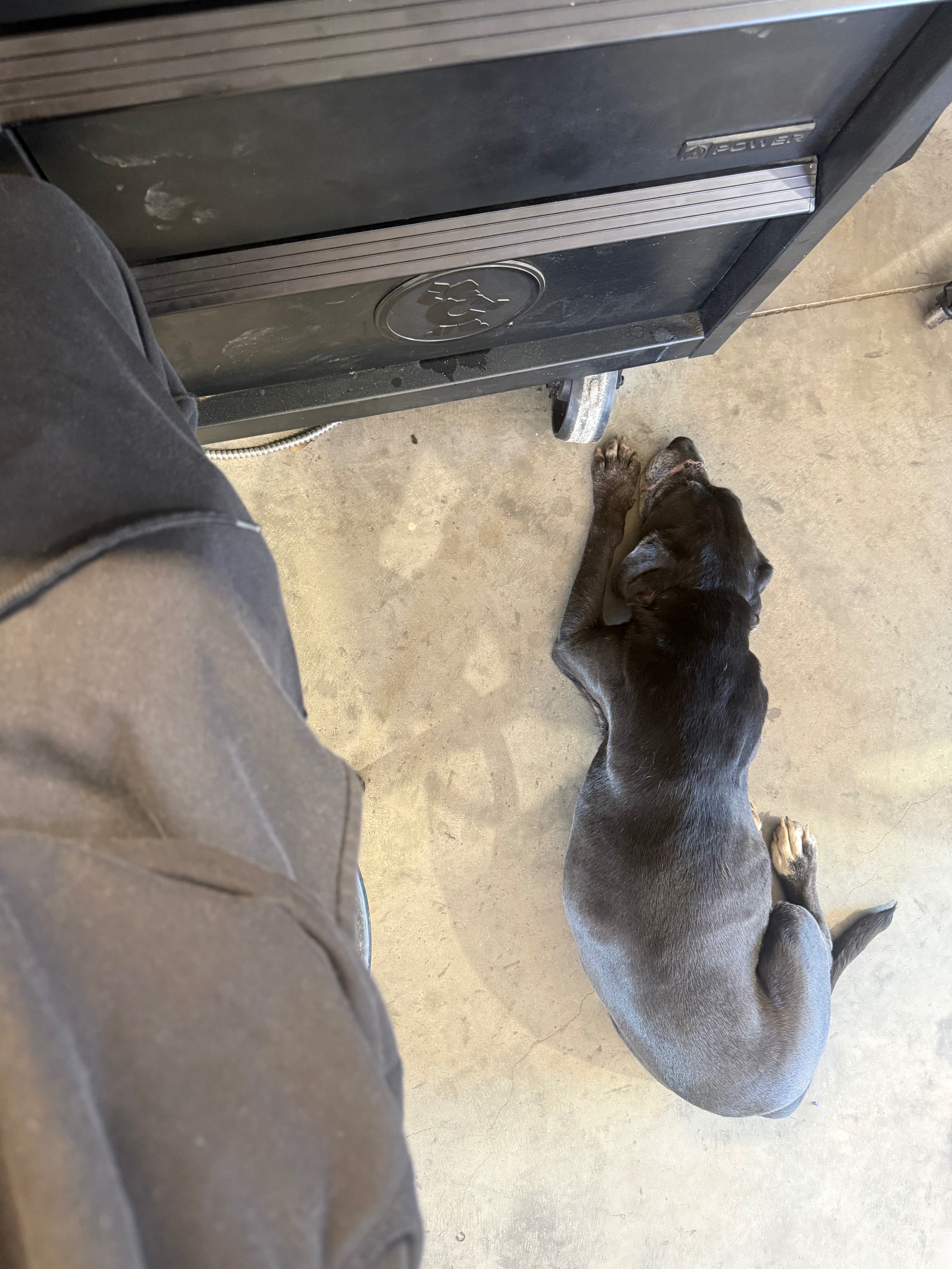 Vet Care and Comfort for Maggie Mae campaign photo, 4 of 6