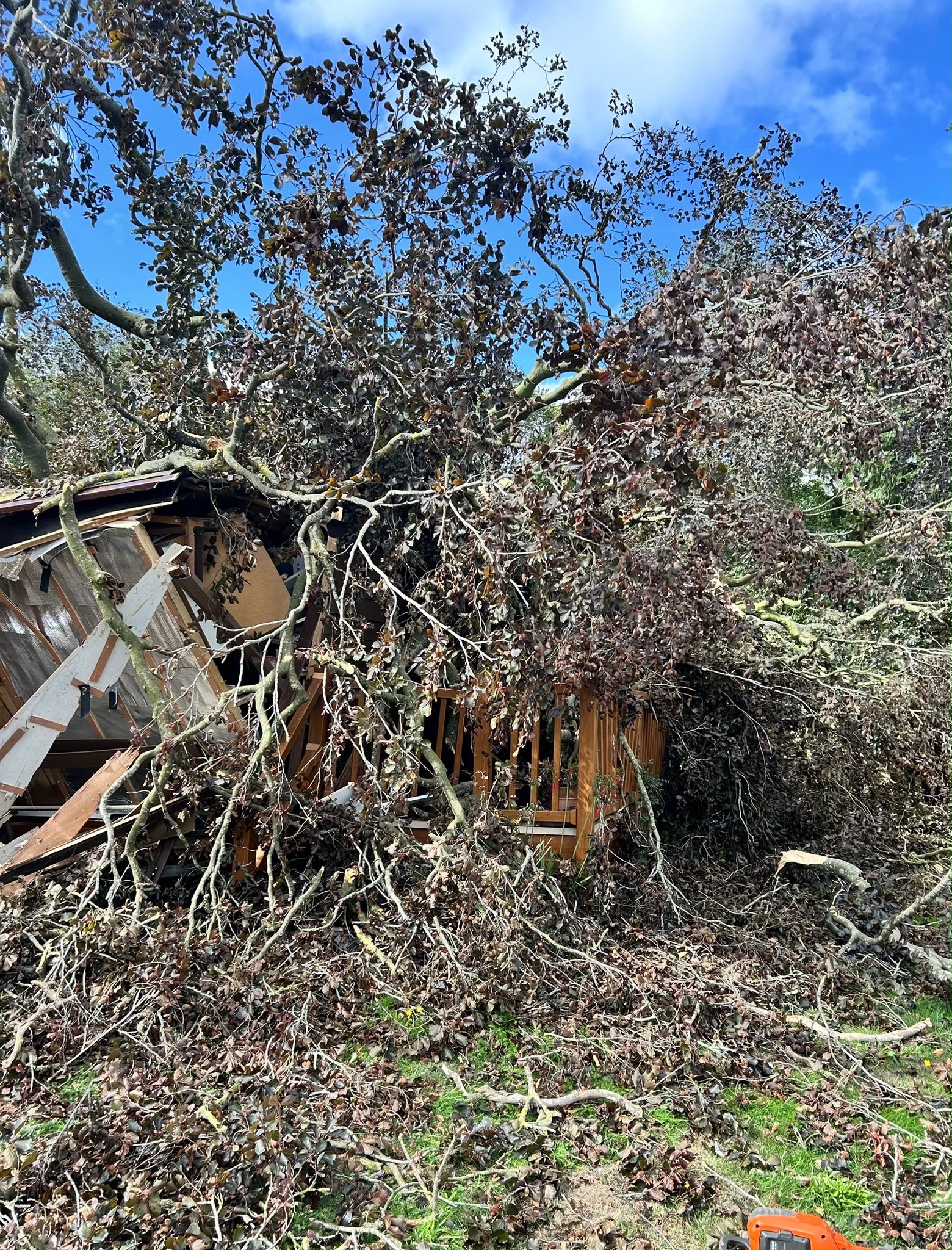 Help Musician Holly Lerski After a Tree Destroyed Her Cabin campaign photo, 2 of 7