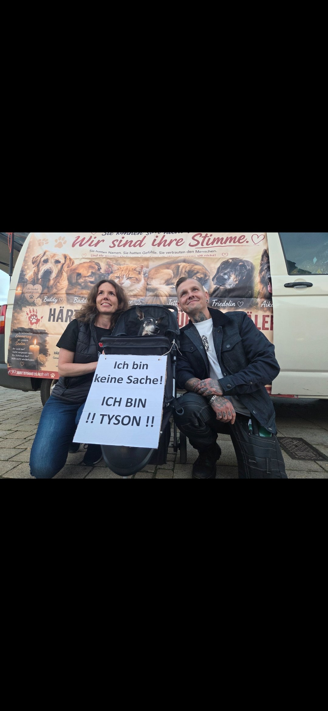 Löwenherz: Eine neue Plattform gegen Tierquälerei! campaign photo, 8 of 13