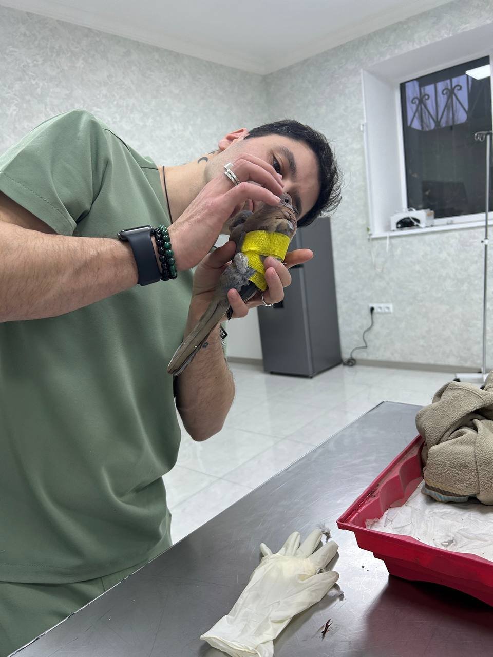 Help ArtVet Save More Animals in Armenia campaign photo, 4 of 9