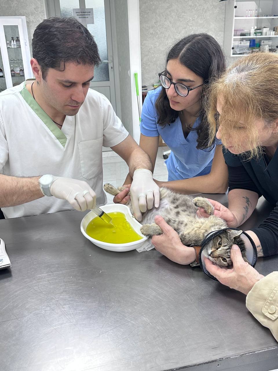 Help ArtVet Save More Animals in Armenia campaign photo, 5 of 9