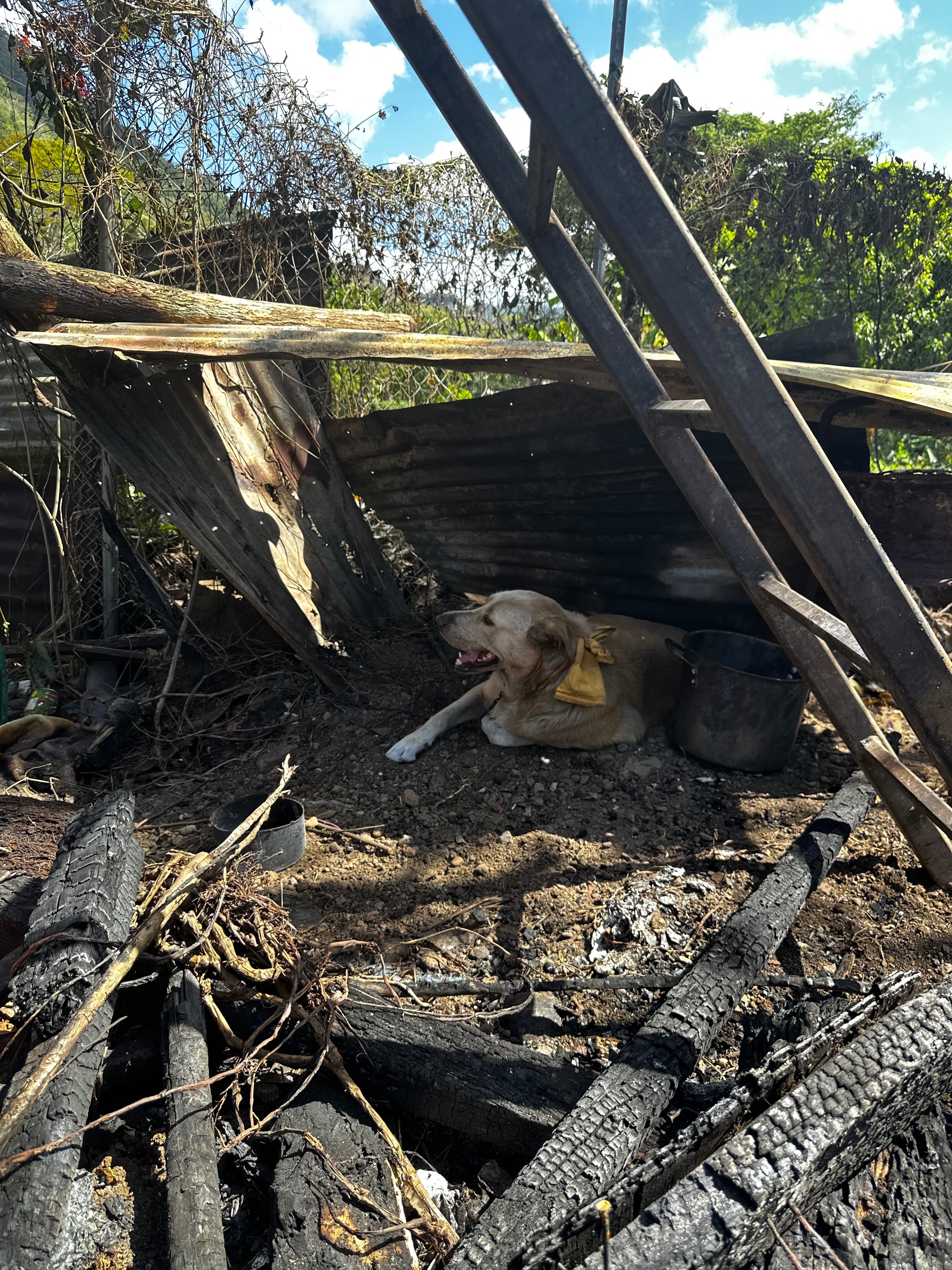 Help My Aiga rebuild our HOME campaign photo, 2 of 8
