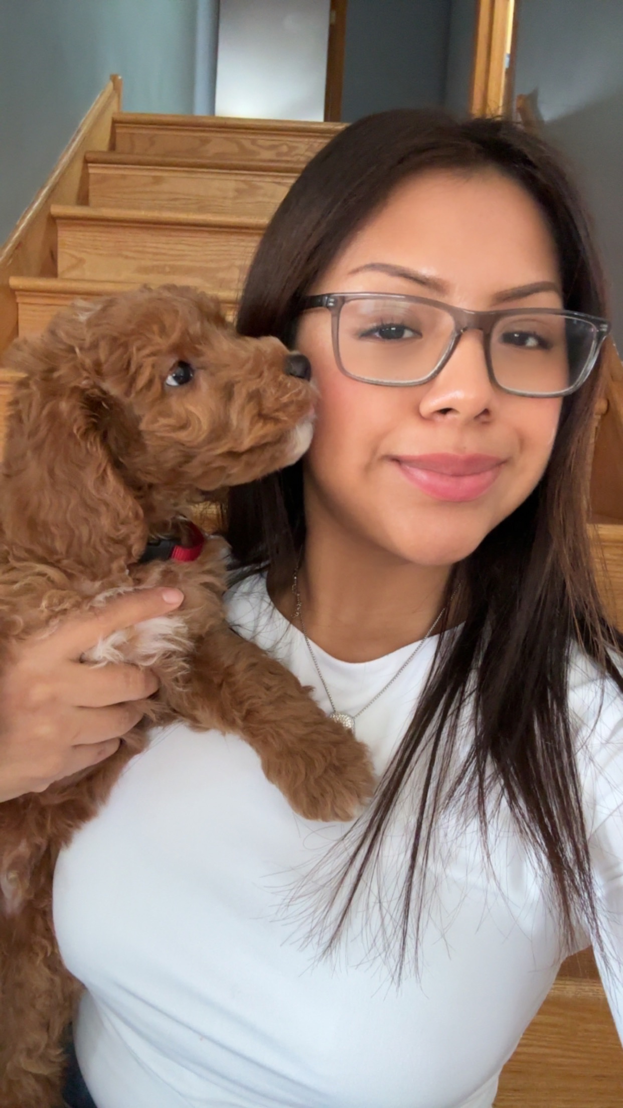 Fundraiser by Emily Obispo : Help My Pet Get Emergency Surgery