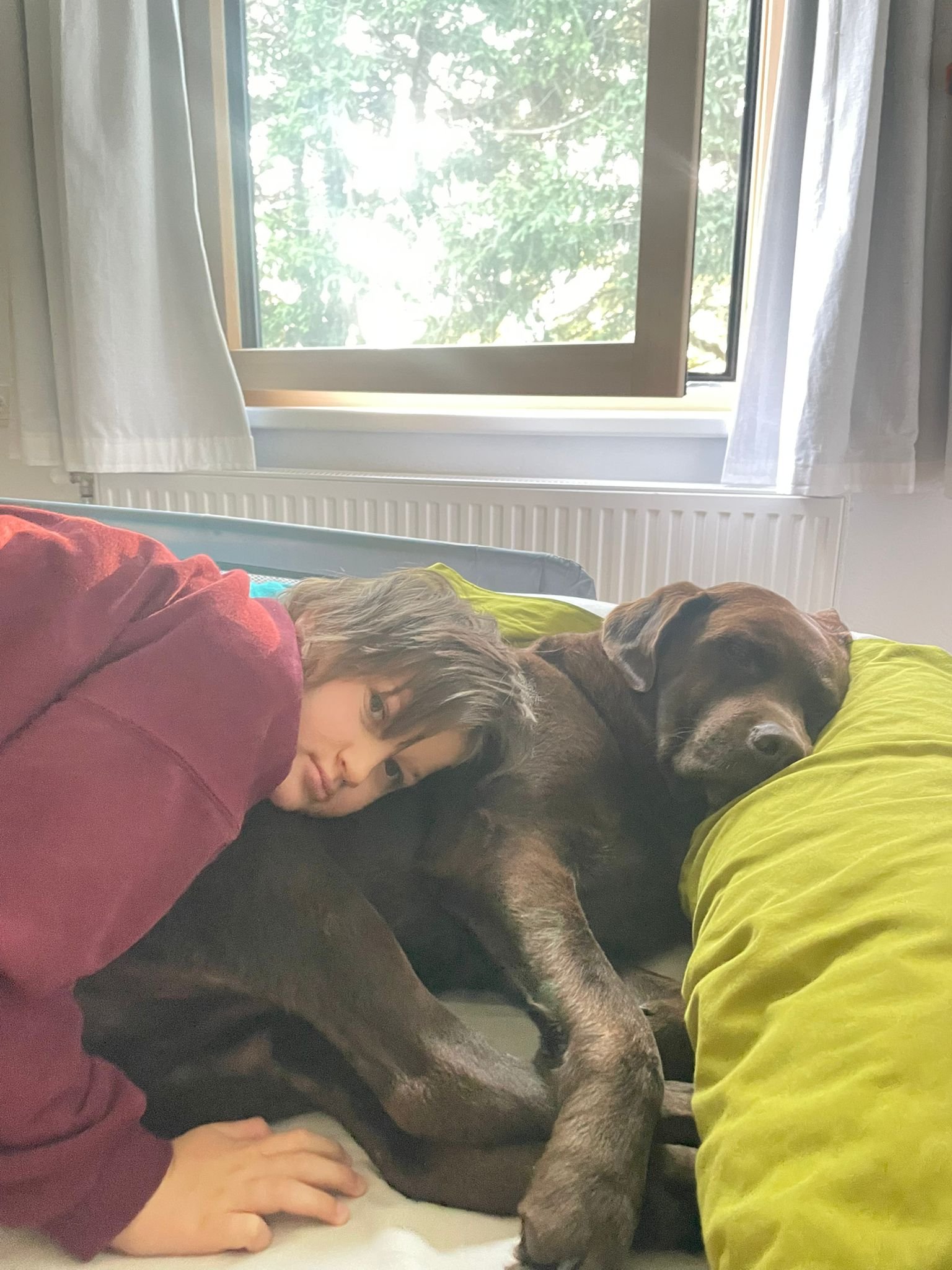 ❤️ Gemeinsam für Marlies – ein neuer Begleithund campaign photo, 2 of 9