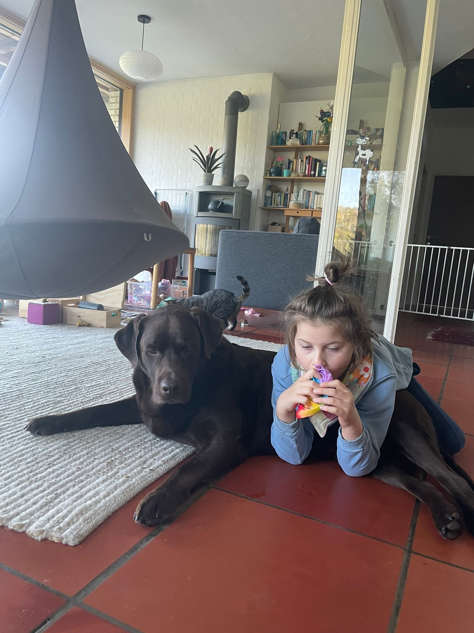 ❤️ Gemeinsam für Marlies – ein neuer Begleithund campaign photo, 4 of 9