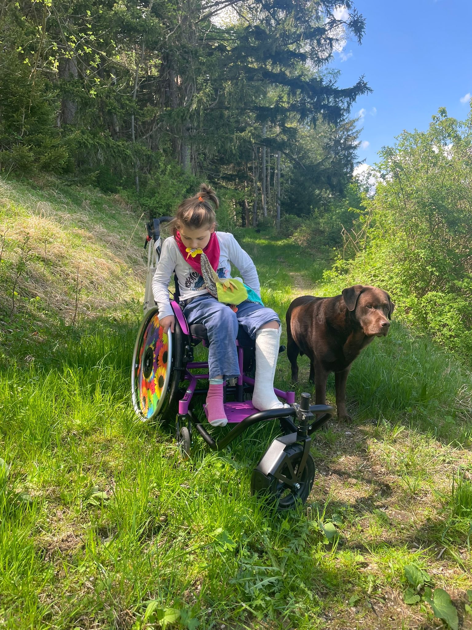 ❤️ Gemeinsam für Marlies – ein neuer Begleithund campaign photo, 5 of 9