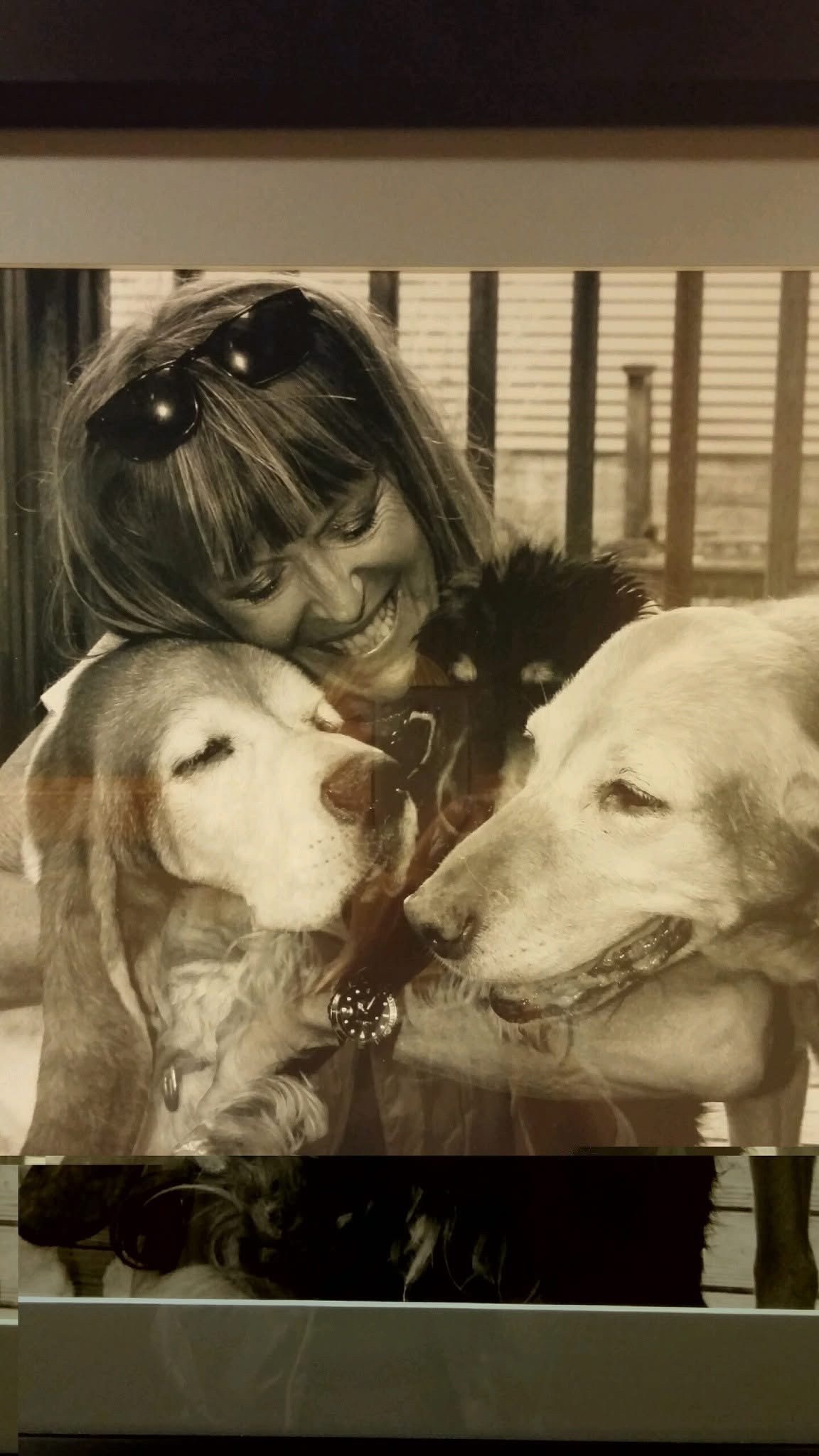 Rally for Marilynn Mee: Milwaukee Rock Icon-Animal Advocate campaign photo, 5 of 8