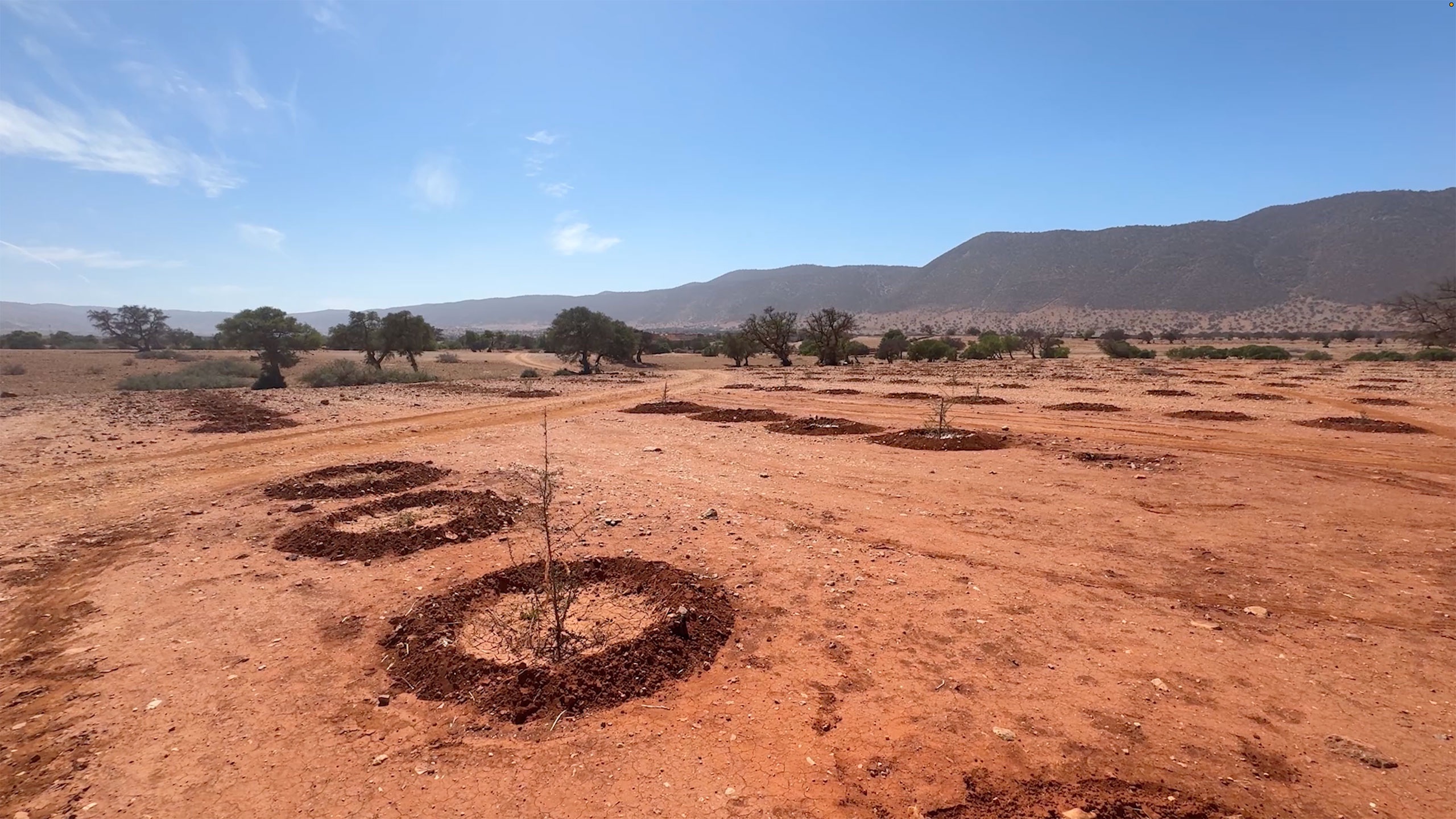 Help a women-led cooperative in Morocco create an argan farm campaign photo, 4 of 7