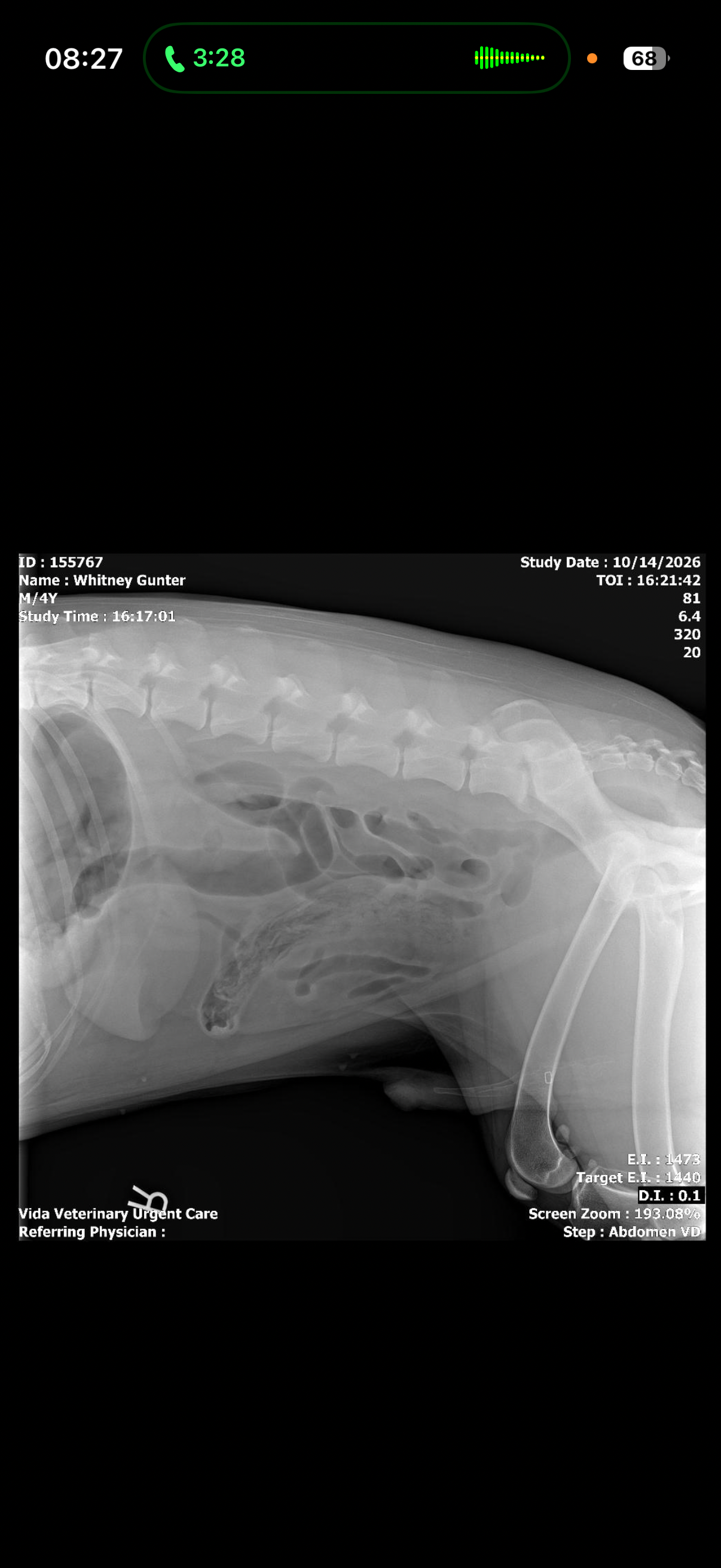 Support Günter's Emergency Surgery campaign photo, 7 of 8