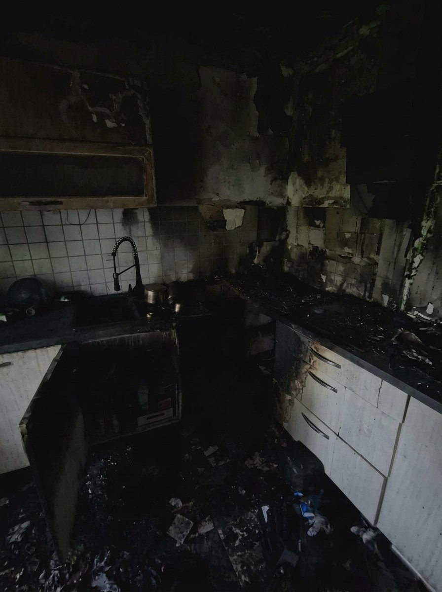 Kampagnen-Foto für Hilfe für Dirksy und seine 2 Katzen, 7 von 8