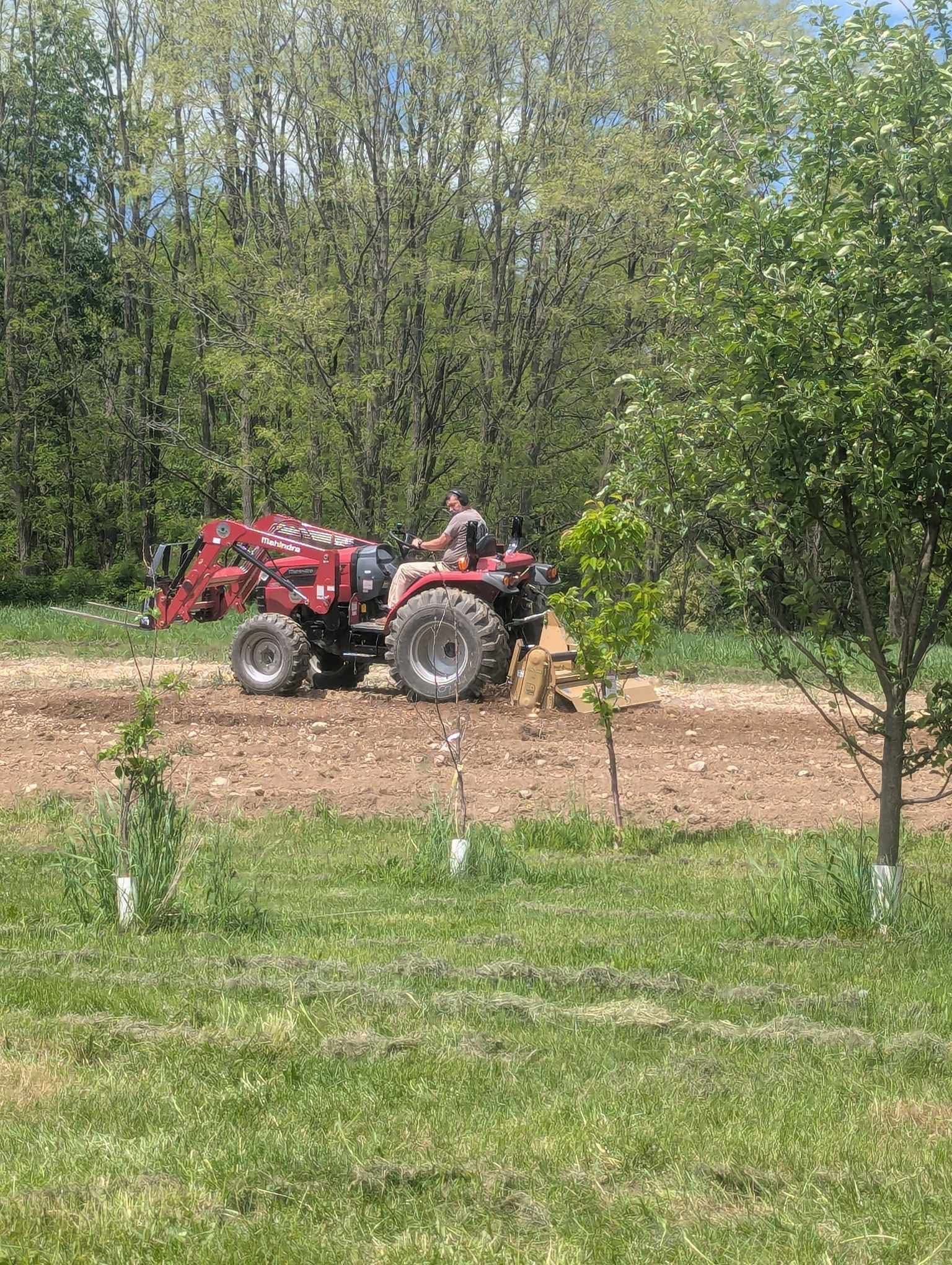 Rebuilding Our Family Farm After the Fire campaign photo, 6 of 8