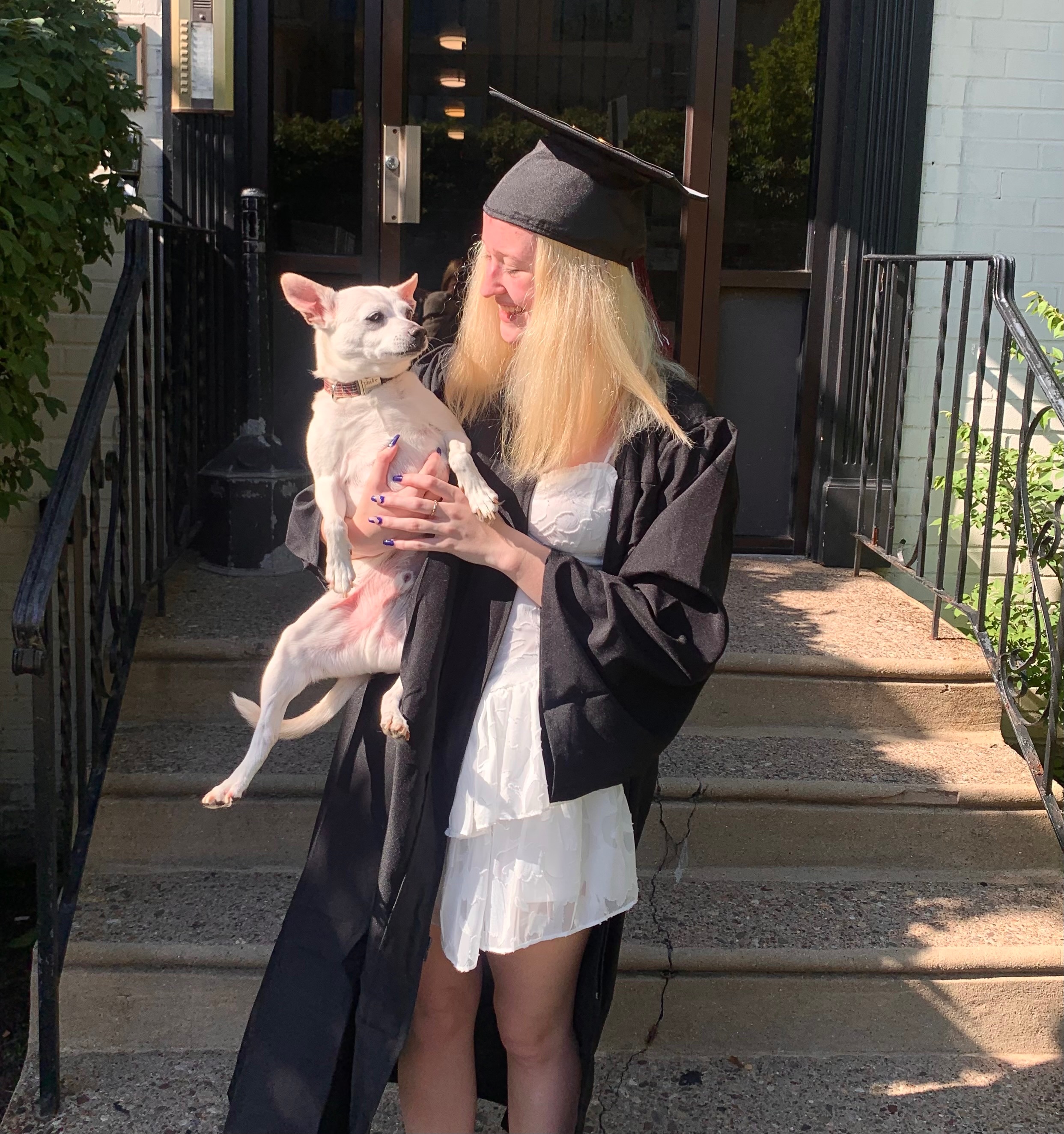 Fundraiser by Alexis Brumlow : Chiko’s Dental Surgery Fund