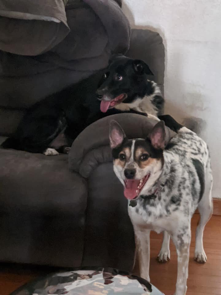 Urgent Care for Freyja and Swayze campaign photo, 6 of 7