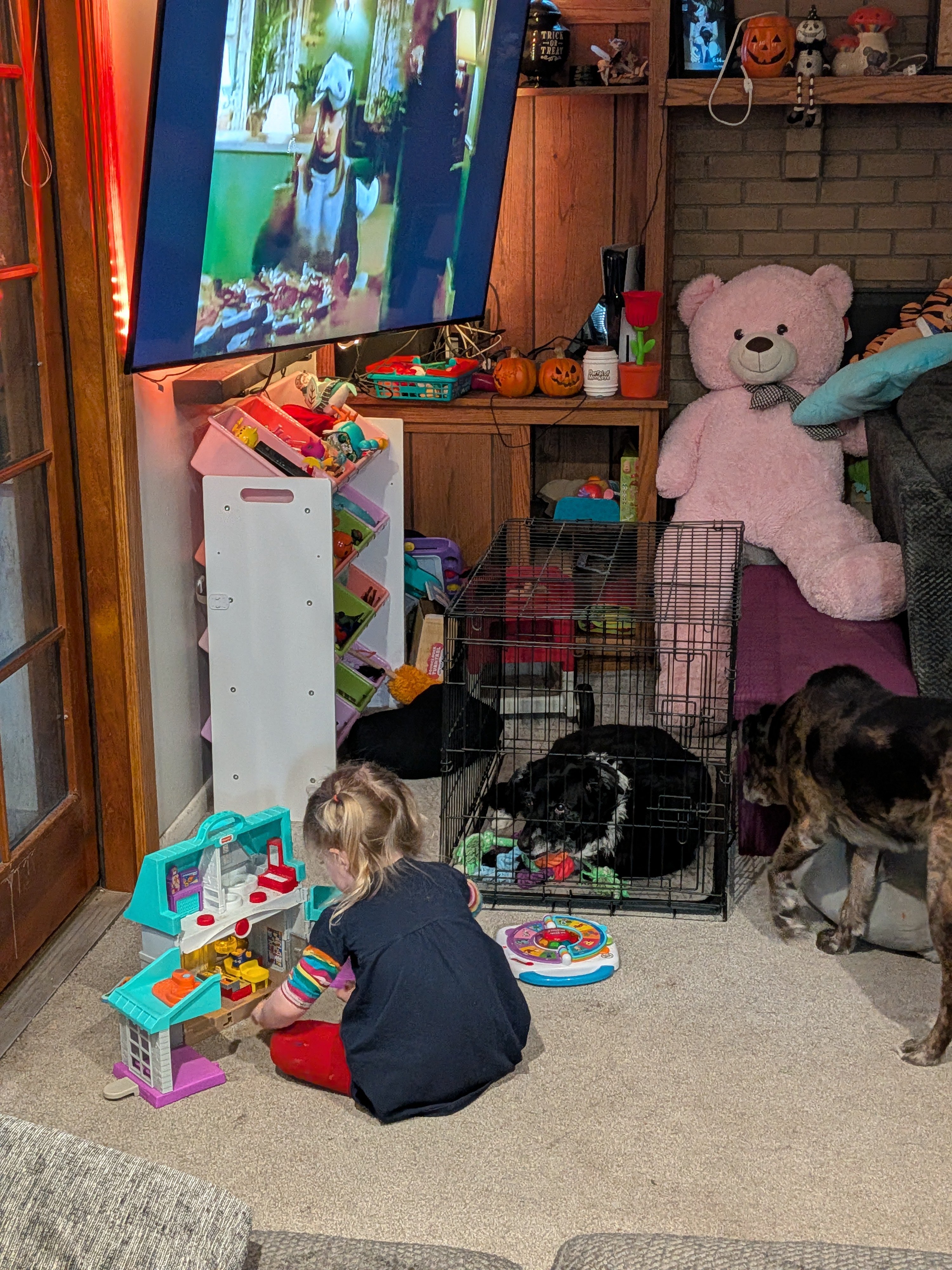 Urgent Care for Freyja and Swayze campaign photo, 5 of 7