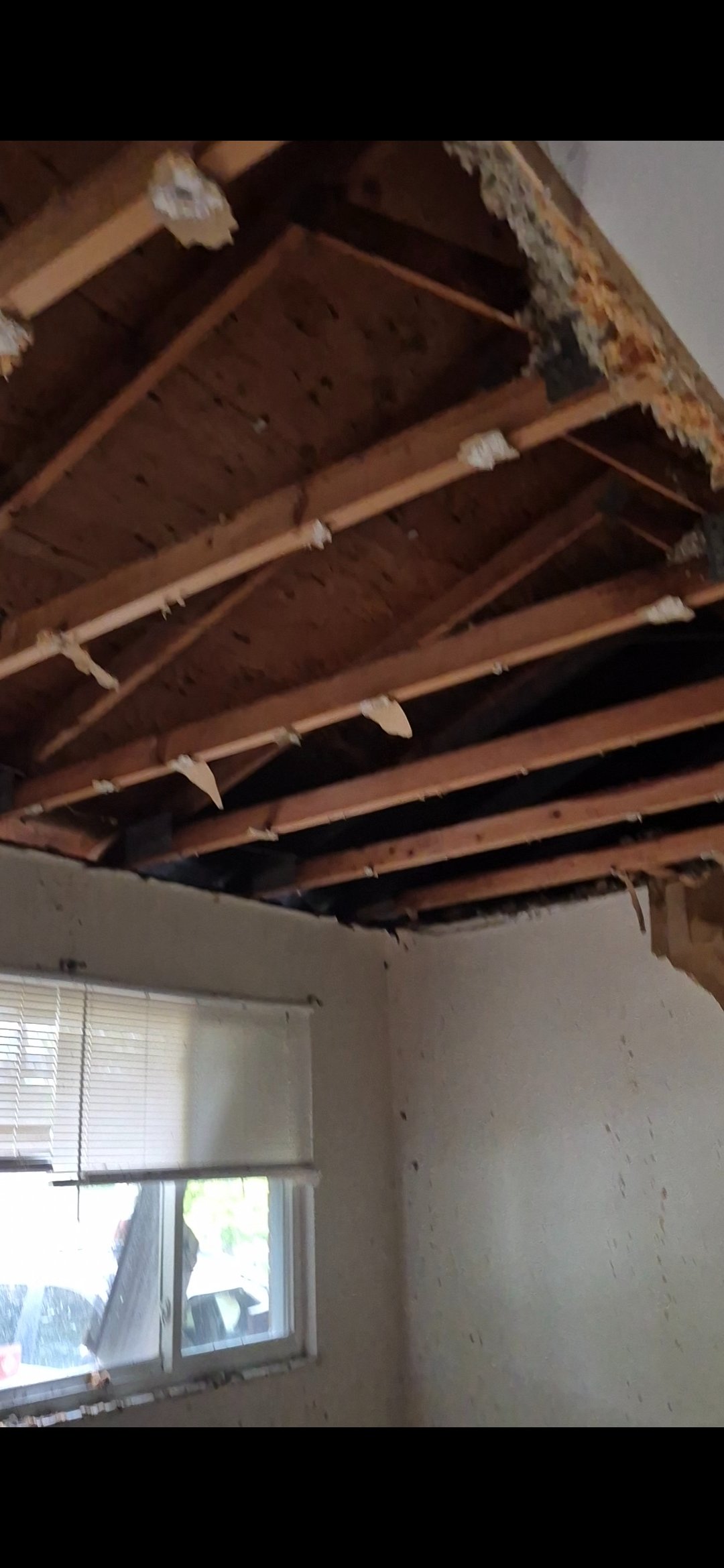 Help Kianna’s Family Rebuild After Fire campaign photo, 2 of 8