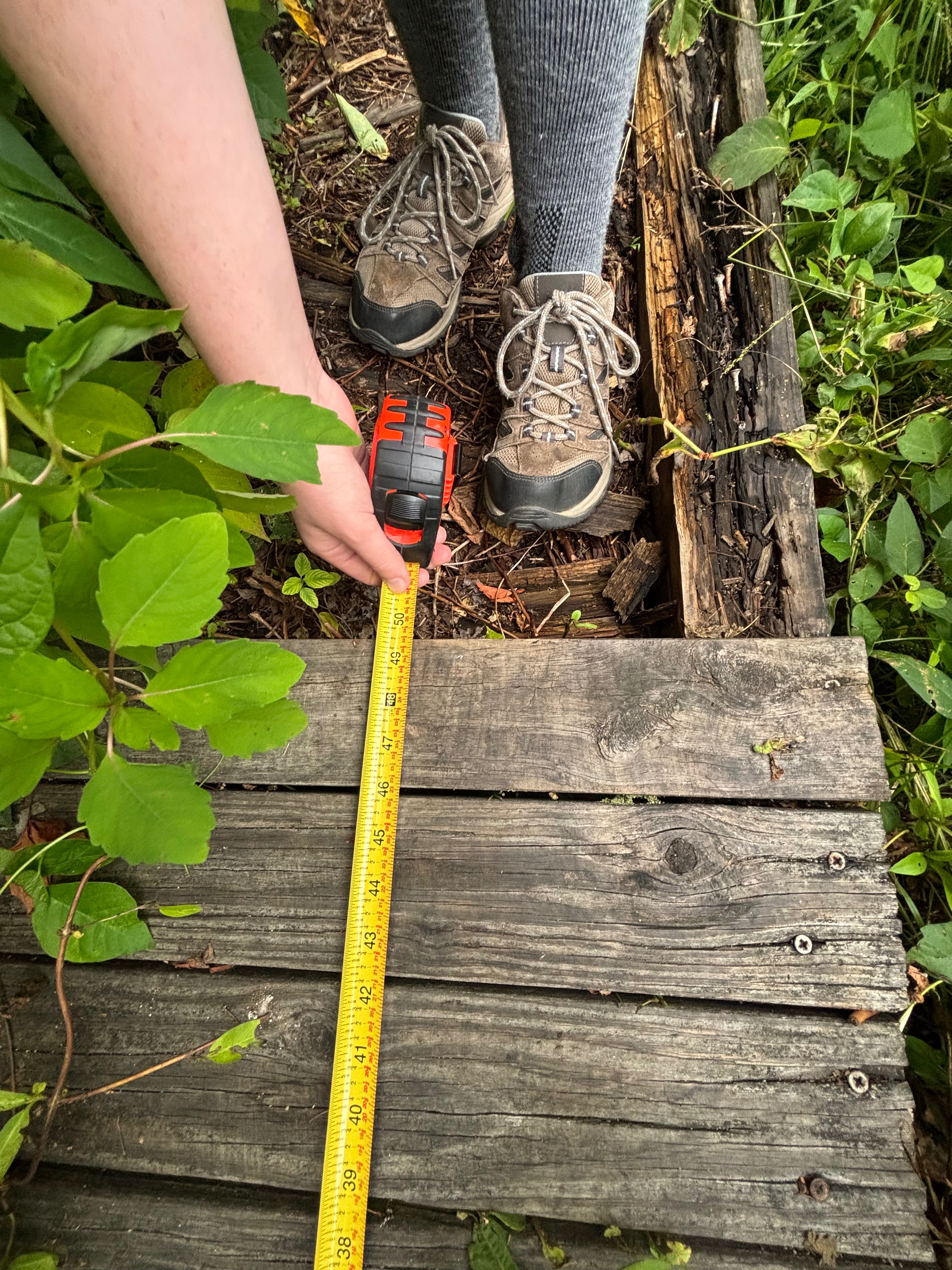Fundraiser by Tommy Elliott : Help Ciara Preserve Tackapausha Trails