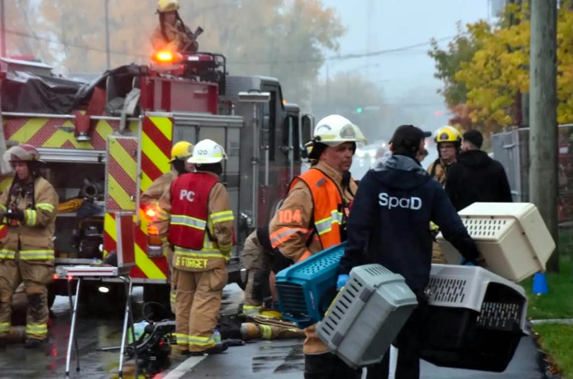 Un jeune couple de Drummondville perd tout dans un incendie campaign photo, 4 of 7
