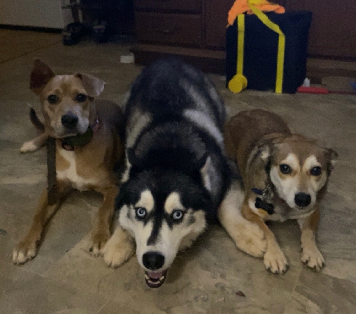Two Cars Together Fundraiser by Kaci Lazenby : Help Alexx keep their family together