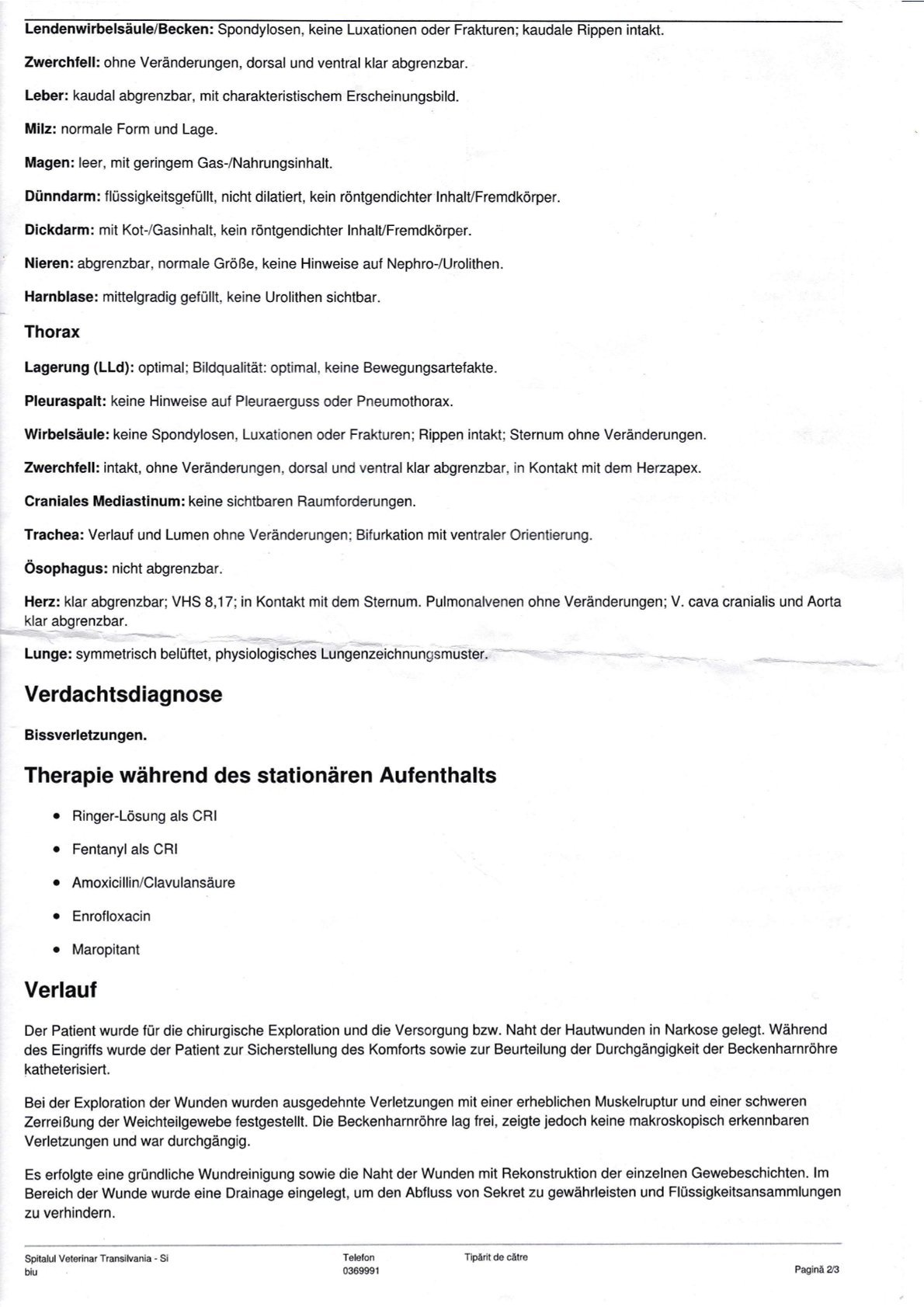 Er kämpft um sein Leben – bitte helft dem kleinen Burschi campaign photo, 5 of 8