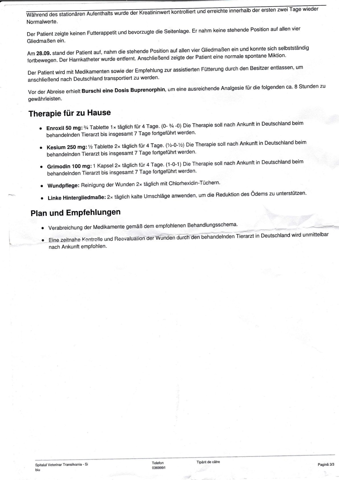 Er kämpft um sein Leben – bitte helft dem kleinen Burschi campaign photo, 6 of 8